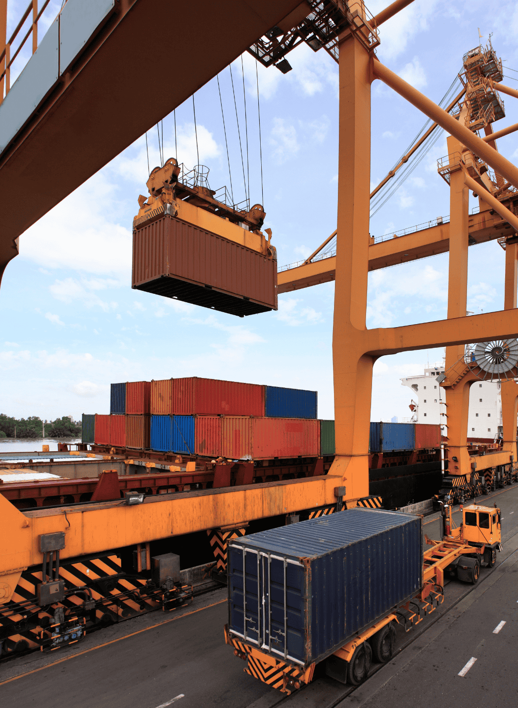 الصورة الخلفية